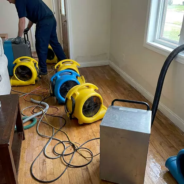 Water Mitigation Services in Gilbert, AZ