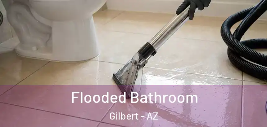  Flooded Bathroom Gilbert - AZ