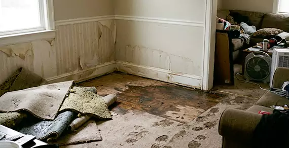 Why Choose Gilbert Water Damage Pro For Water Damage Restoration Services in Gilbert, AZ?