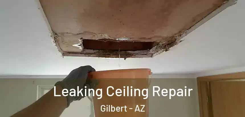 Leaking Ceiling Repair Gilbert - AZ