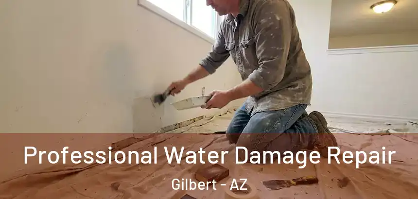 Professional Water Damage Repair Gilbert - AZ