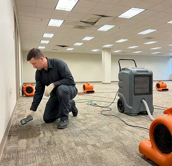 Why Businesses Choose Gilbert Water Damage Pro for Commercial Water Damage in Gilbert, AZ?