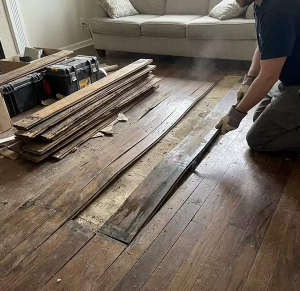 Why Choose Gilbert Water Damage Pro for Wood Floor Water Damage Repair in Gilbert, AZ?